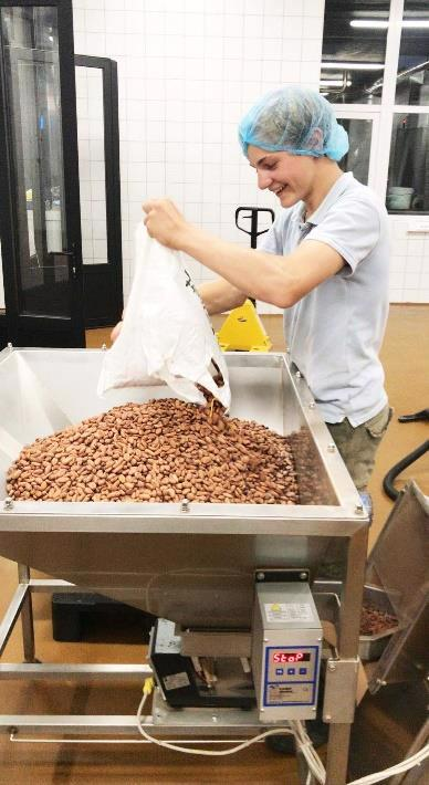 Cocoa Agroforestry